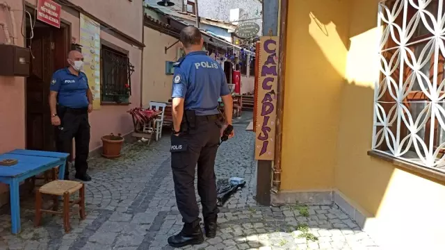 Eskişehir'de kedi vahşeti