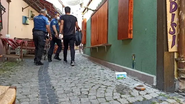 Eskişehir'de kedi vahşeti