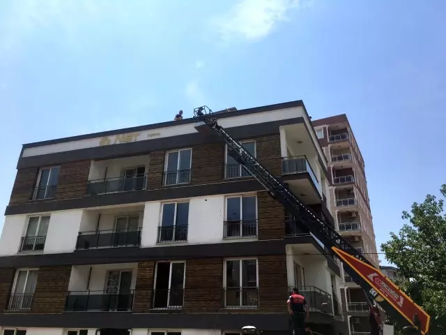 Polis, apartmana saklanan hırsızı yakalamak için çatıya itfaiye merdiveniyle çıktı