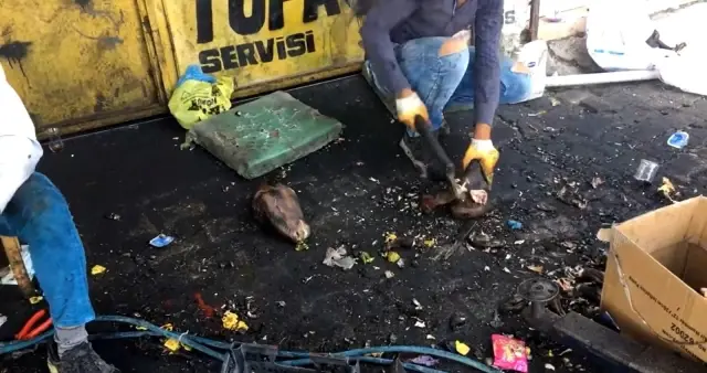 Kelle ütüleme ustaları yoğun mesailerine devam ediyor