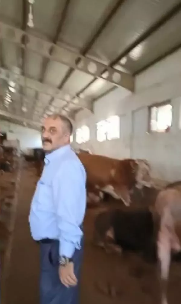 KURBANLIK SATIŞINDA DOLANDIRICILIK İDDİASI