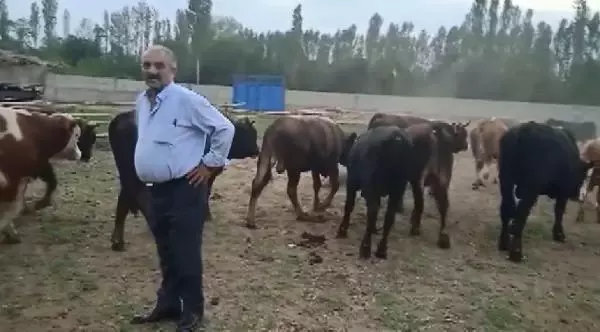 KURBANLIK SATIŞINDA DOLANDIRICILIK İDDİASI
