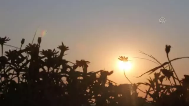 Kuşadası'nda gün batımı