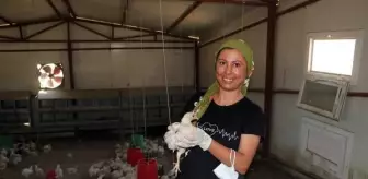 Seyhan Baraj Gölü: ÖLÜME TERK EDİLEN CİVCİVLER, ÇİFTÇİ ZÖHRE'NİN KÜMESİNDE YAŞAMA TUTUNDU Seyhan Baraj Gölü: ÖLÜME TERK EDİLEN CİVCİVLER, ÇİFTÇİ ZÖHRE'NİN KÜMESİNDE YAŞAMA TUTUNDU