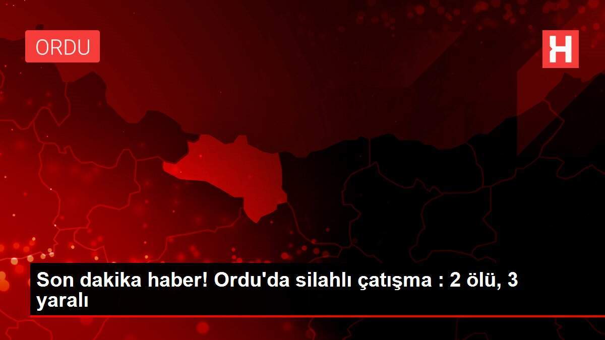Son dakika haber! Ordu'da silahlı çatışma : 2 ölü, 3 yaralı