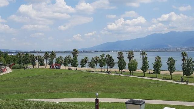 planktonlar izmit korfezi ni turkuaz rengine 10 14286472 o