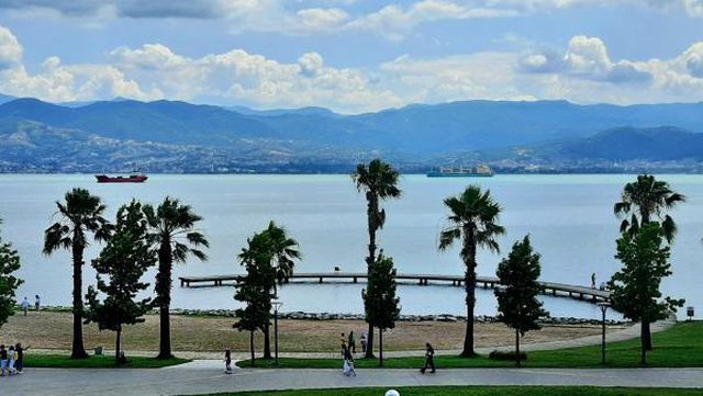 planktonlar izmit korfezi ni turkuaz rengine 6 14286472 o