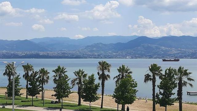 planktonlar izmit korfezi ni turkuaz rengine 7 14286472 o