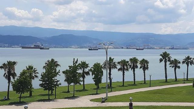 planktonlar izmit korfezi ni turkuaz rengine 8 14286472 o