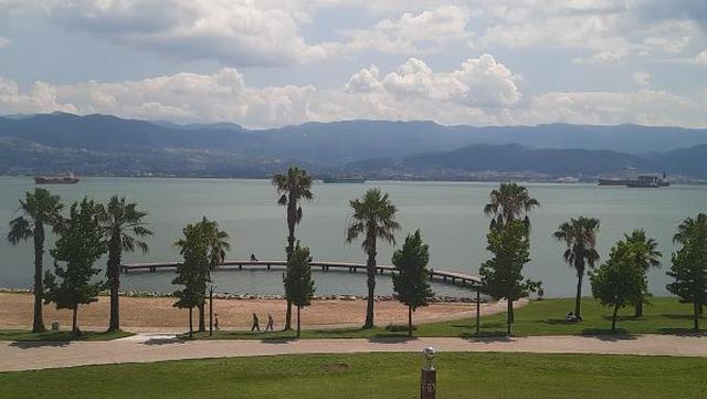 planktonlar izmit korfezi ni turkuaz rengine 9 14286472 o