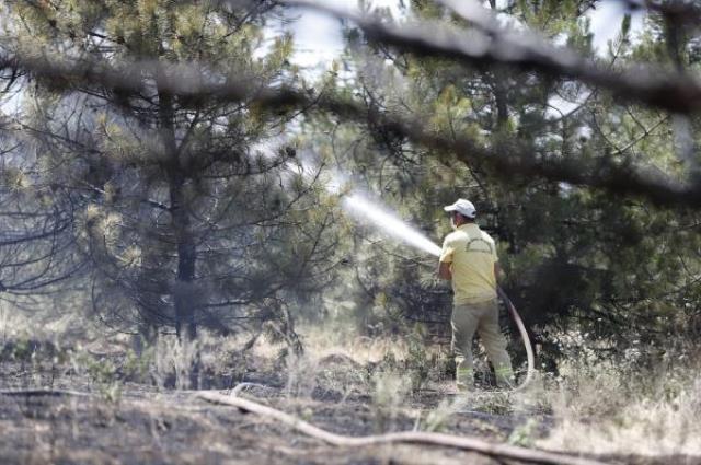 Son Dakika: Ankara'da Atatürk Orman Çiftliği'nde korkutan yangın! 1 kişi kundaklama iddiasıyla gözaltına alındı