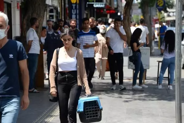 TÜRKİYE'DE EN AZ AŞININ UYGULANDIĞI DİYARBAKIR'DA AŞI SEFERBERLİĞİ BAŞLATILDI