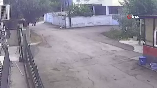 Yaşlı kadının altın kolyesini çalan 3 kardeş tutuklandı