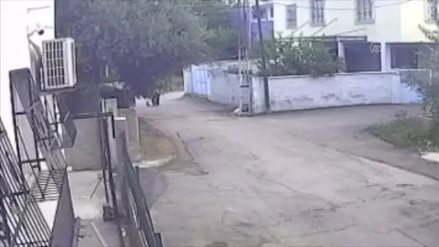 Yaşlı kadının kolyesini çaldığı iddiasıyla yakalanan 3 kardeş tutuklandı