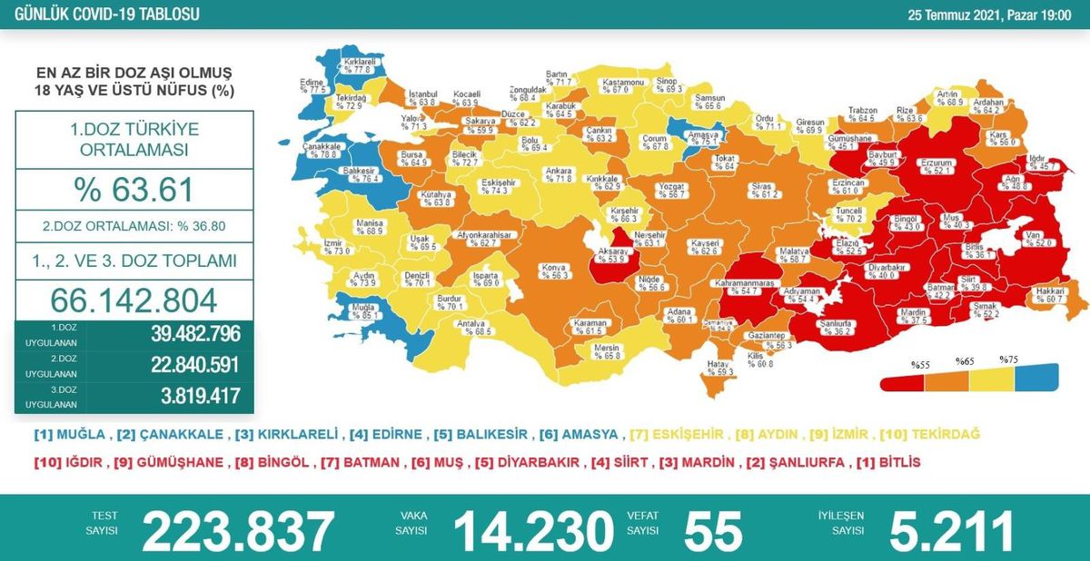 Karadeniz'de aşılamada 10 il sarı, 5 il turuncu, 2 il kırmızı, 1 il de mavi