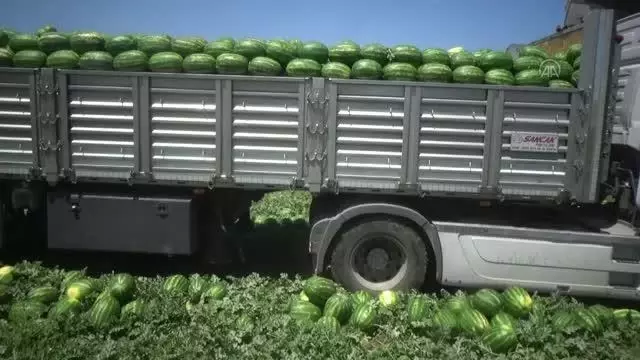 Karpuzdan 70 milyon lira gelir bekleniyor