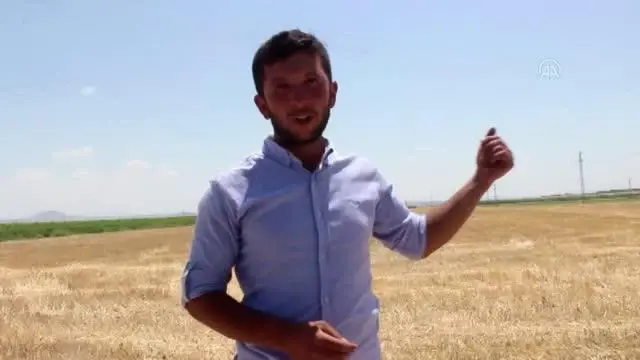 Koyun otlatan çoban, yaralı bulduğu kartalı köpek saldırısından kurtardı