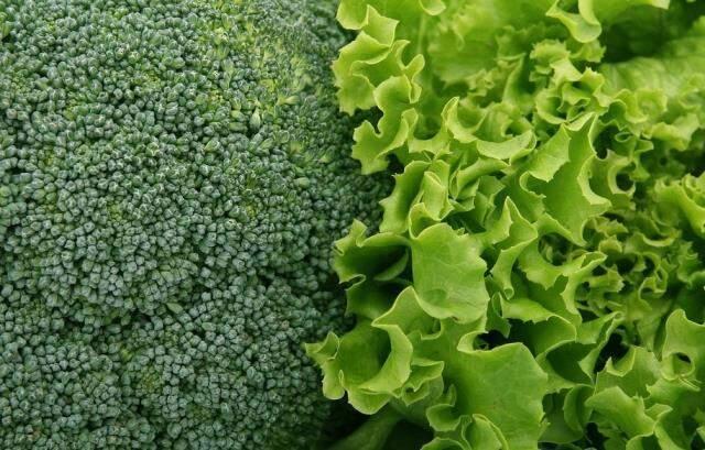 Rüyada marul görmek ne demektir? Rüyada marul görmek ne anlama gelir?