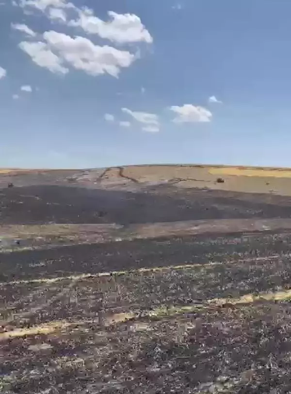 Savcı Sayan ve akrabalarının arazilerinde çıkan yangında bin dönüm alan zarar gördü