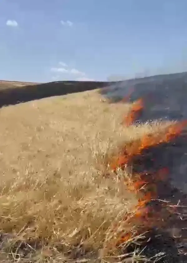 Savcı Sayan ve akrabalarının arazilerinde çıkan yangında bin dönüm alan zarar gördü