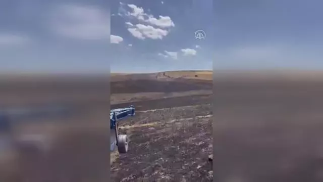 Son dakika haberleri! Tutak'ta çıkan yangında ekili alanlar zarar gördü