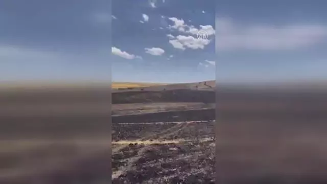 Son dakika haberleri! Tutak'ta çıkan yangında ekili alanlar zarar gördü