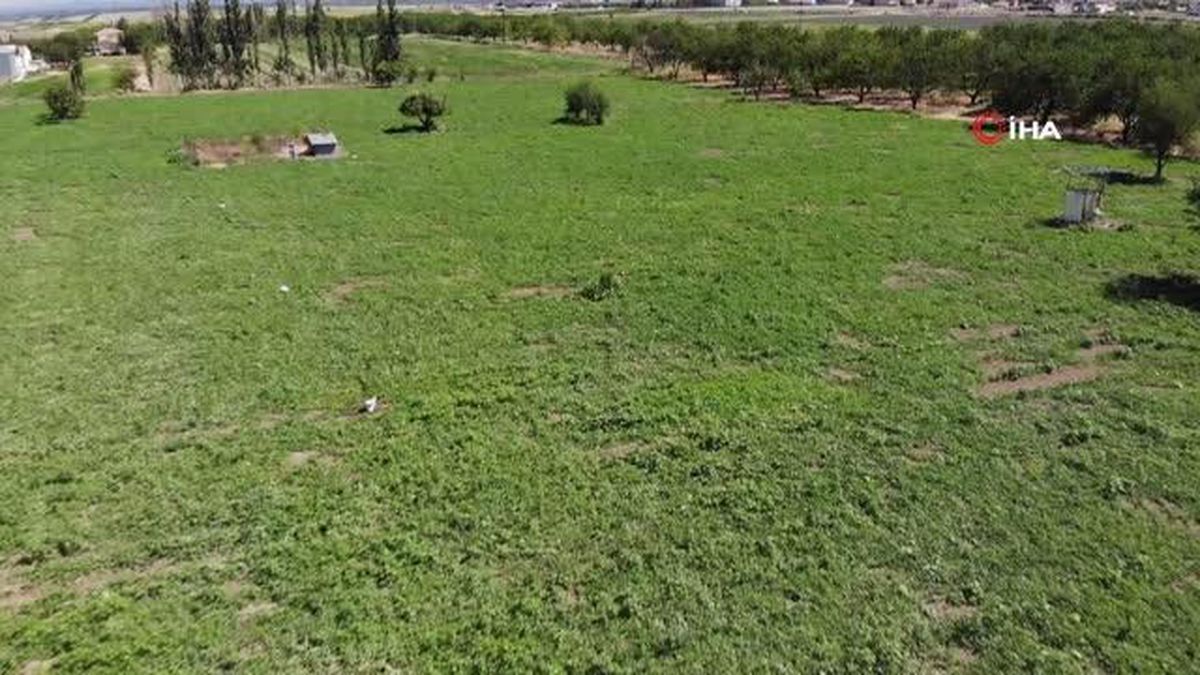 Yazıhan karpuzu görüntüsü ve lezzetiyle dikkat çekiyor