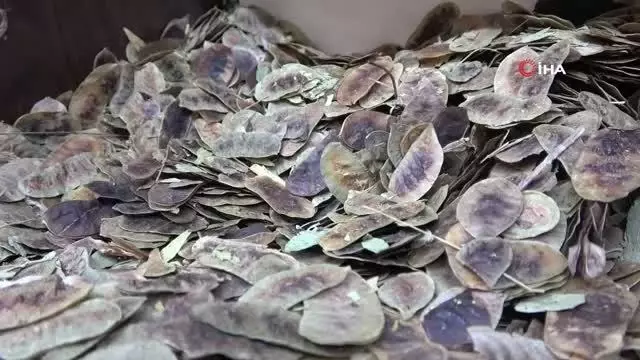 zayiflamanin formulu bu karisimda 14288277 o