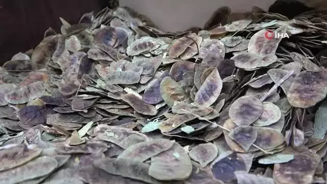 zayiflamanin formulu bu karisimda 2 14288277 o