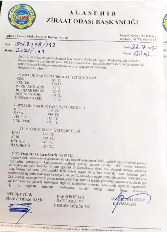 2021 yılı üzüm işçi fiyatları belirlendi