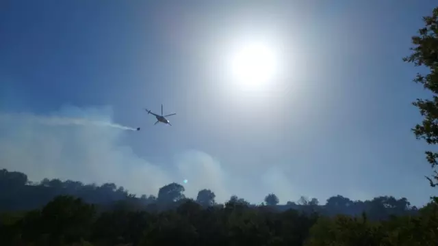 Son dakika haberleri... ÇANAKKALE - Ormanlık alanda çıkan yangında 10 hektar alan zarar gördü