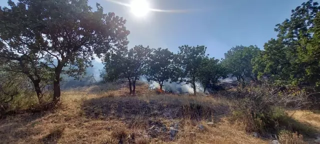 Son dakika haberleri... ÇANAKKALE - Ormanlık alanda çıkan yangında 10 hektar alan zarar gördü