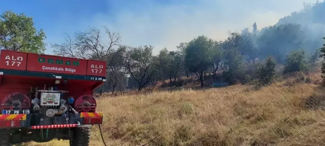 Son dakika haberleri... ÇANAKKALE - Ormanlık alanda çıkan yangında 10 hektar alan zarar gördü