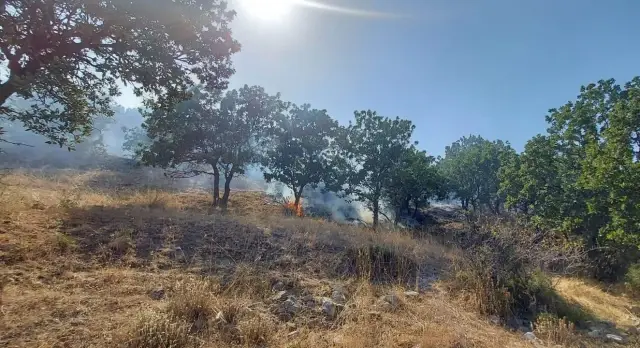Son dakika haberleri... ÇANAKKALE - Ormanlık alanda çıkan yangında 10 hektar alan zarar gördü