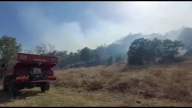 Son dakika haberleri... ÇANAKKALE - Ormanlık alanda çıkan yangında 10 hektar alan zarar gördü