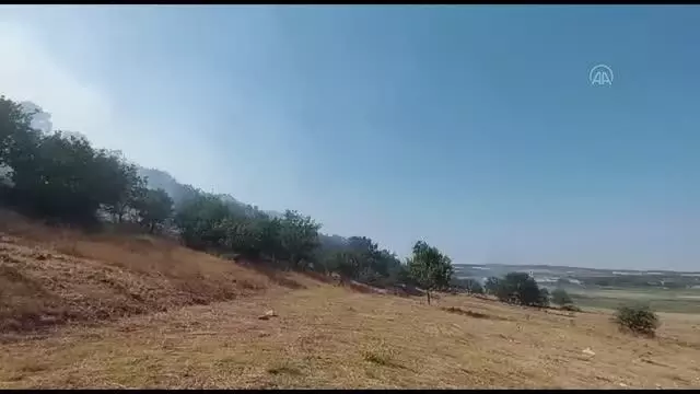 Son dakika haberleri... ÇANAKKALE - Ormanlık alanda çıkan yangında 10 hektar alan zarar gördü