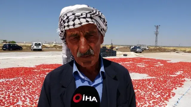 Diyarbakır'ın kurutulmuş domatesleri dünyaya ihraç ediliyor