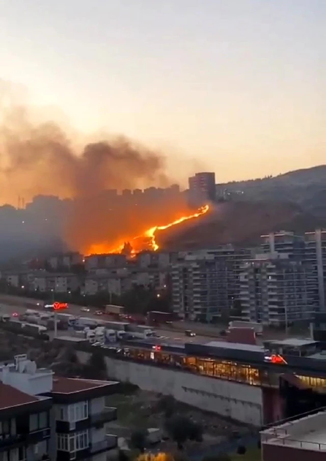 İzmir'de otluk alanlarda çıkan yangınlar söndürüldü