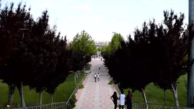 Kelebekler Vadisi'nin yeni bahçesi renklerin şölenine davet ediyor