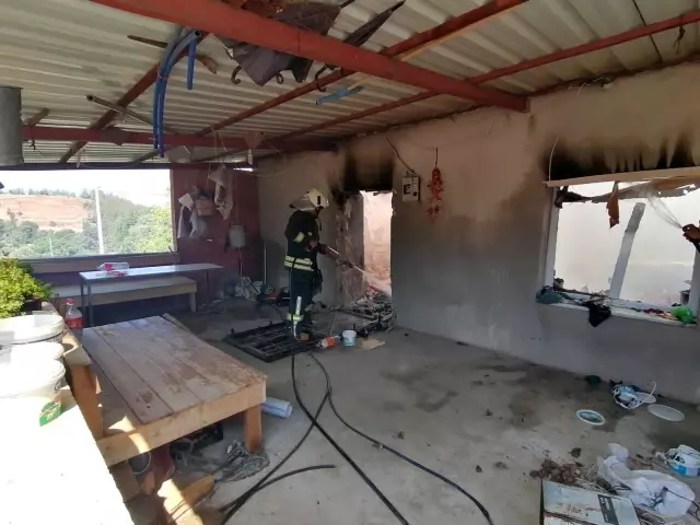 Muğla İtfaiyesi Aydın'daki yangına müdahale etti