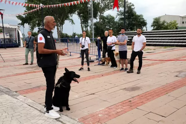 Köpek Eğitmenliği Eğitimi Sertifika Kursu düzenlendi