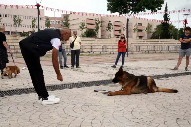 Köpek Eğitmenliği Eğitimi Sertifika Kursu düzenlendi