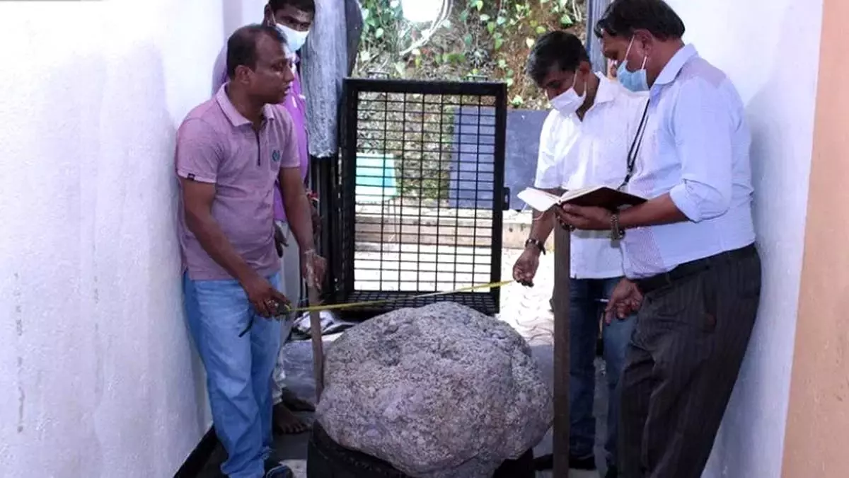 100 milyon dolar değerindeki dünyanın en büyük safir taşı Sri Lanka'da bir evin arka bahçesinde bulundu