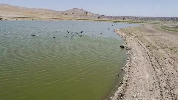 SULAR ÇEKİLDİ, BALIKLAR ÖLDÜ