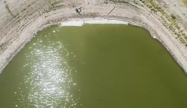 SULAR ÇEKİLDİ, BALIKLAR ÖLDÜ