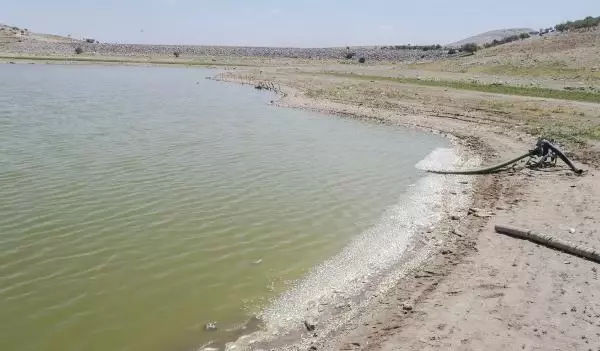 SULAR ÇEKİLDİ, BALIKLAR ÖLDÜ