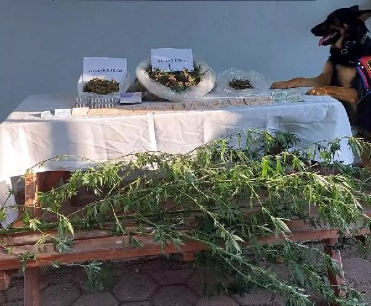 Tekirdağ'da 1 kilo esrar ele geçirildi