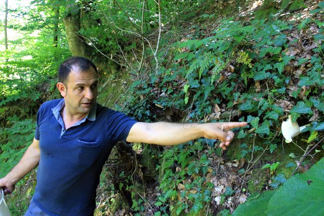 turu az bulunan bu mantara paha bicilemiyor 7 14290510 o
