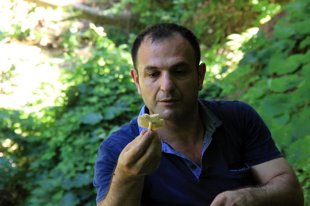 turu az bulunan bu mantara paha bicilemiyor 9 14290510 o