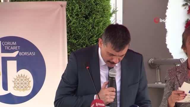 vaka sayilarinin artisa gectigini aciklayan v 14290603 o